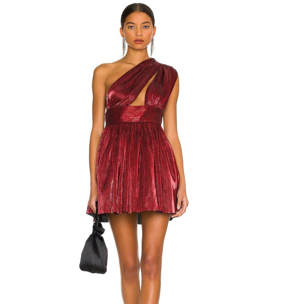 Bronx & Banco Florence Mini Dress in Maroon